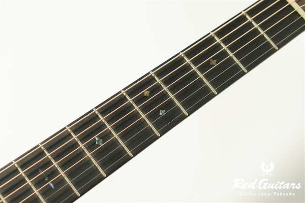 F130-GA Sitka Spruce / Indian Rosewood